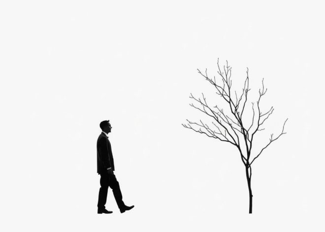 Минимализм как философия жизни: путь к ясности, свободе и ответам на вопрос «что важнее?»